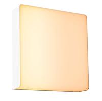 Paulmann Azalena LED-wandlamp met bewegingsmelder voor buiten 8.5 W RGBW - thumbnail