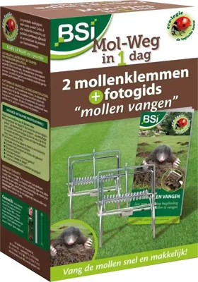 BSI Mol weg in 1 dag