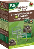 BSI Mol weg in 1 dag - thumbnail