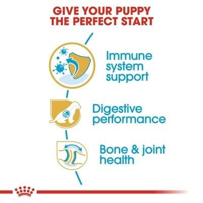 Royal Canin German Shepherd voer voor puppy 3kg