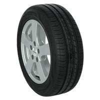 Fortuna Ecoplus HP - thumbnail