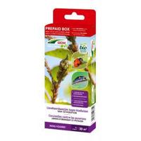 Lieveheersbeestjes tegen bladluizen 20 m2 DCM Natuurlijke Vijanden - Dcm natuurlijke vijanden - thumbnail