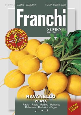 Radijs Ravanello Zlata 112/36 zaden Franchi - Franchi