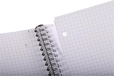 Collegeblk cf studium a4+ rt 5mm 4g 80pag ass | 5 stuks