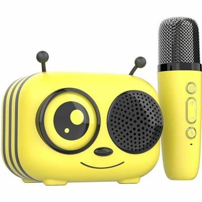 Kit karaoke / Altoparlante Bluetooth e microfono wireless - Termini e condizioni - MAYA, Effetti vocali magici, Durata della batteria di 8 ore, Ricarica USB Kit karaoke / Altoparlante Bluetooth e microfono wireless - Termini e condizioni - MAYA, Effetti vocali magici, Durata della batteria di 8 ore, Ricarica USB