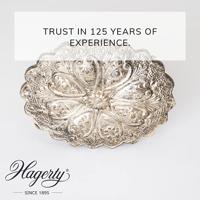 Hagerty Silver Spray - thumbnail