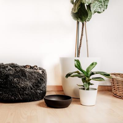District 70 Bamboo voerbak donkergrijs voor de hond Large