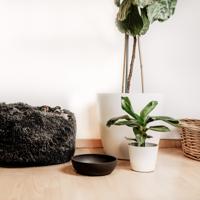 District 70 Hondenvoerbak Bamboo, dark grey, Maat: L - thumbnail