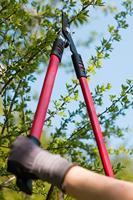 Meister Takkenschaar Bypass - WU9718100 - thumbnail