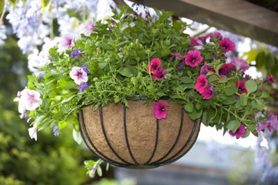 Hanging basket van smeedijzer rond 35 cm Hanging basket van smeedijzer rond 35 cm