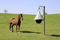 Dazenval TaonX Eco - thumbnail