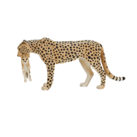 Mojo wildlife cheetah vrouwtje met welp 387167 - thumbnail