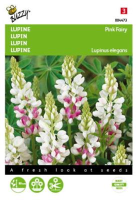 Lupinus, Lupine Rose laag Pink Fairy
