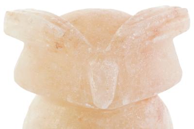 Bureaulamp DKD Home Decor Roze Zout Acacia 15 W 220 V 14 x 14 x 18 cm Bureaulamp DKD Home Decor Roze Zout Acacia 15 W 220 V 14 x 14 x 18 cm