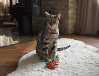 Yeowww! Strawberry Original - thumbnail