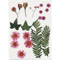 Creativ Company Gedroogde bloemen en bladeren lichtrood, 19dlg. - thumbnail