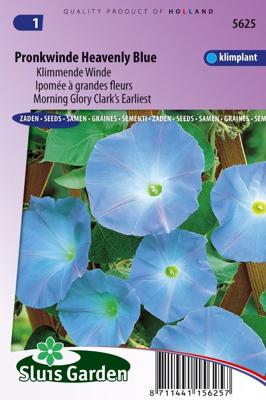 Klimmende Winde bloemzaden - Pronkwinde Heavenly Blue