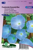 Klimmende Winde bloemzaden - Pronkwinde Heavenly Blue - thumbnail