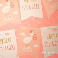 Paperdreams Vlag banner - newborn baby girl - thumbnail