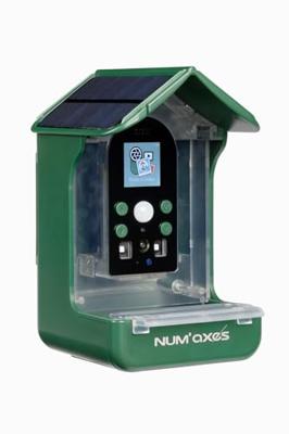 Voederbak / waterbak voor vogels met geïntegreerde camera - NUM'AXES - CAM1074 - 120 ° - Groen