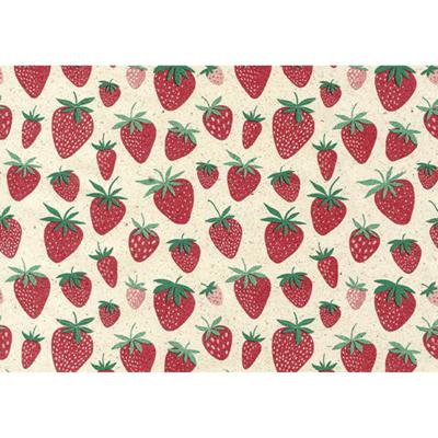 Apparaatrol strawberry 200mx50cm