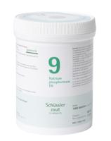 Pfluger Celzout 09 Natrium Phosphoricum Tabletten - thumbnail