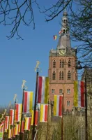 Alexsar Art Tuinschilderij Sint Jan Carnaval 130x70cm - thumbnail