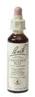 Bach Flower Remedies Kastanjeknop 07 - thumbnail