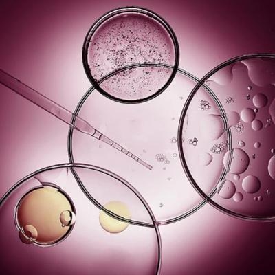 Melvita Argan Bio-Active Intensive Lifting Cream 50 ml Melvita Argan Bio-Active Intensive Lifting Cream 50 ml