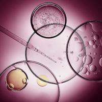 Melvita Argan Bio-Active Intensive Lifting Cream 50 ml - thumbnail