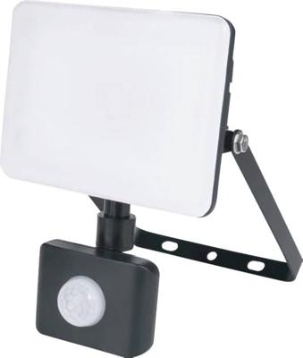 Müller-Licht Orlando 21600074 LED-buitenschijnwerper met bewegingsmelder 30 W Lichtkleur (naam): Neutraalwit Müller-Licht Orlando 21600074 LED-buitenschijnwerper met bewegingsmelder 30 W Lichtkleur (naam): Neutraalwit