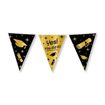 Classy Party flags foil You did it