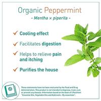 Puressentiel Eo Pepermunt Bio 30ml - thumbnail