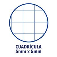 Schrift ENRI Multicolour A4 160 Lakens (5 Stuks) - thumbnail