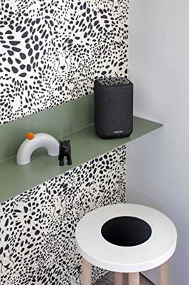 Denon Home 150 Multi-room speaker Denon Home 150 Multi-room speaker