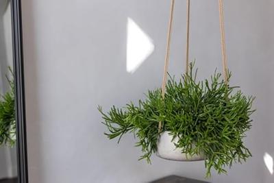 Rough Eco-line hangende bloempot S 24x9 cm Eileen lichtgrijs