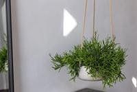 Rough Eco-line hangende bloempot S 24x9 cm Eileen lichtgrijs - thumbnail