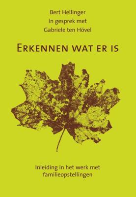 Erkennen wat er is (Paperback)