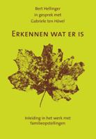 Erkennen wat er is (Paperback) - thumbnail