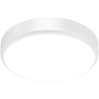 LED Plafondlamp met Bewegings- en Dagsensor 20W 2000lm 6000K Wit IP54