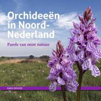 Orchideeën in Noord-Nederland (Hardback) - thumbnail