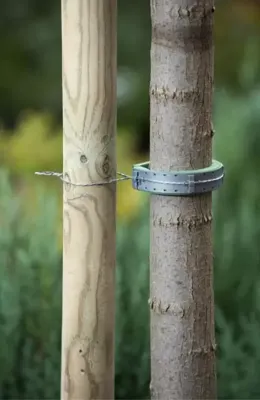 Softboomband groen 30x2,5cm set a 2 stuks Nature - Nature - thumbnail
