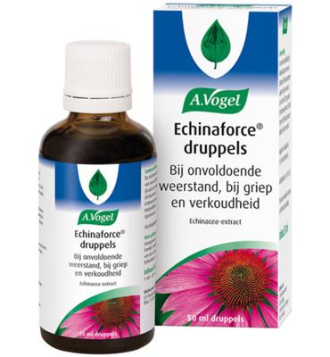 Echinaforce druppels 50 Milliliter