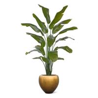 Traveller Palm promo 190cm - thumbnail