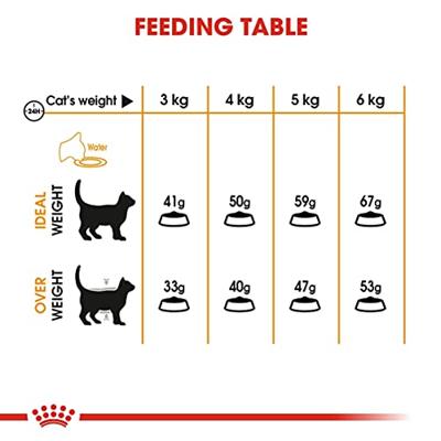 Royal Canin Hair & Skin Care kattenvoer 2 kg