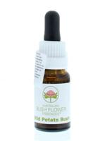 Australian Bush Wild potato bush 15 Milliliter - thumbnail