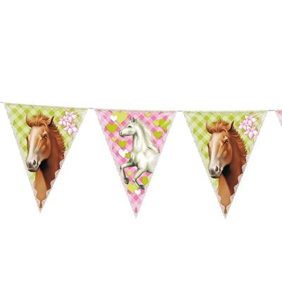 Paarden Slingers Party 6 meter