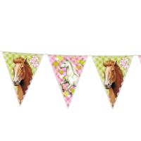 Paarden Slingers Party 6 meter - thumbnail