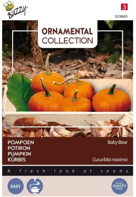 Zaden Ornamental Wintersquash Baby Bear Buzzy - Buzzy Zaden Ornamental Wintersquash Baby Bear Buzzy - Buzzy