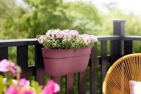 ELHO - Bloempot - Vibia Campana Easy Hanger Large - Oudroze - Buitenbalkon - L 24,1 x B 46 x H 26,5 cm - thumbnail